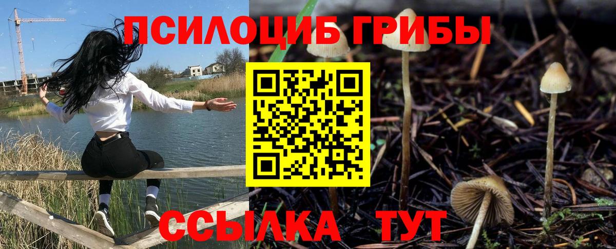 Видное  закладка  Вход с VPN  Галлюциногенные грибы мухоморы 